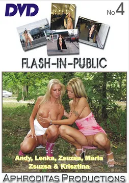 Flash In Public 4