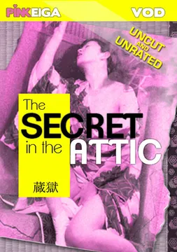 The Secret In The Attic
